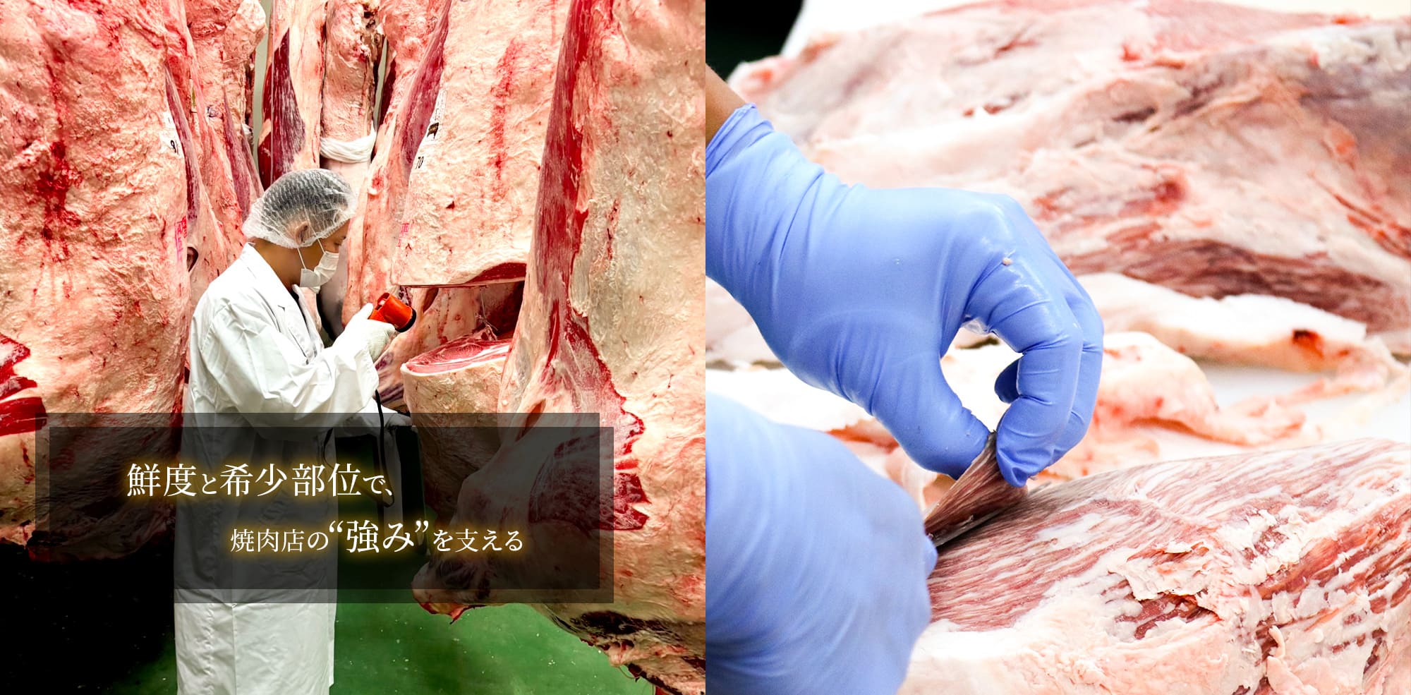 鮮度と希少部位で、焼肉店の“強み”を支える。