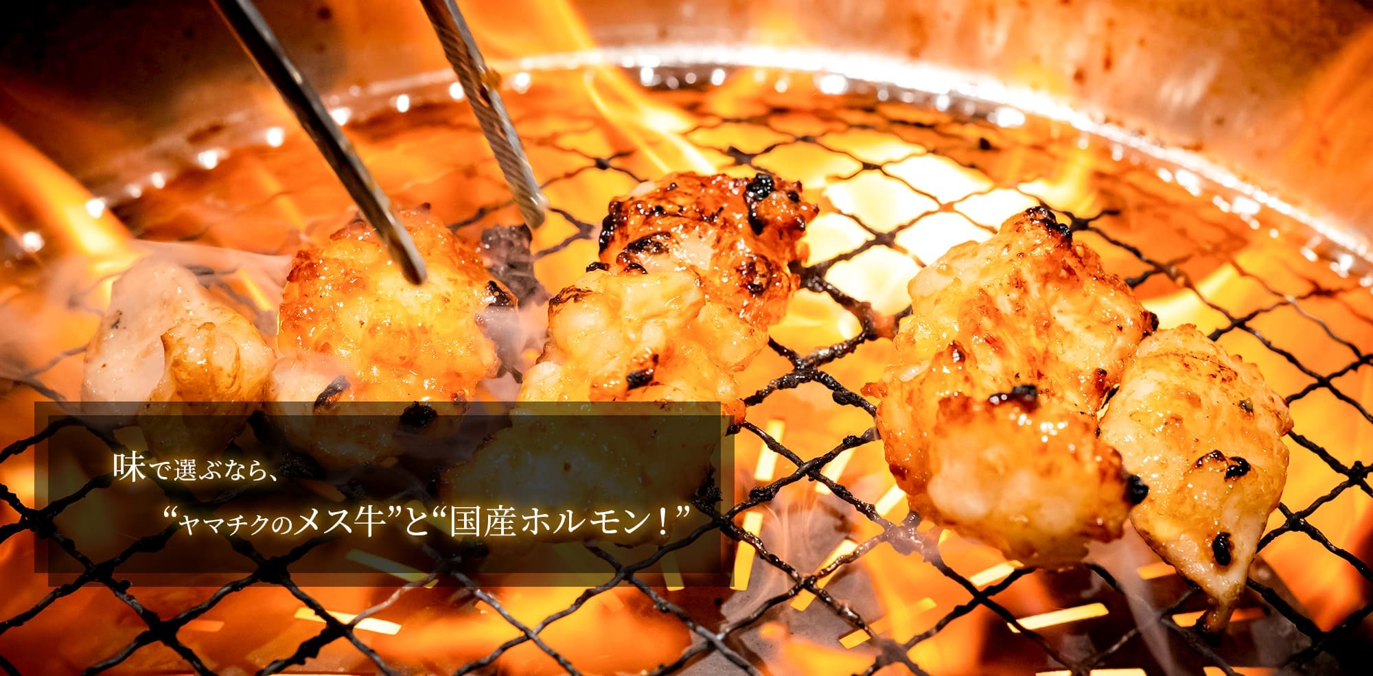 味で選ぶなら、ヤマチクのメス牛と国産ホルモン！